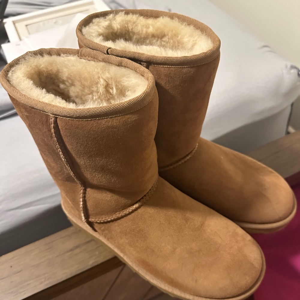 Ugg chestnut